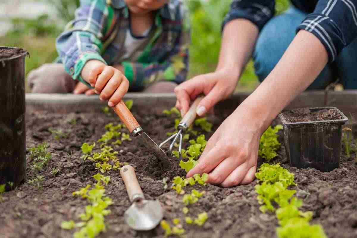  3 app per curare al meglio il tuo giardino