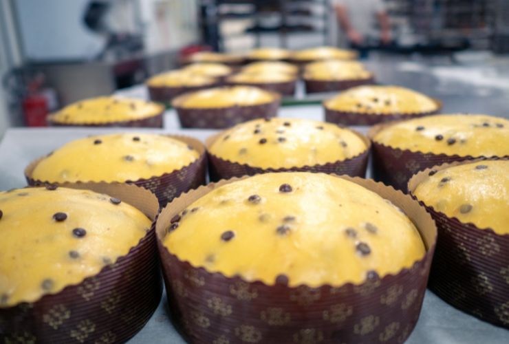 panettone