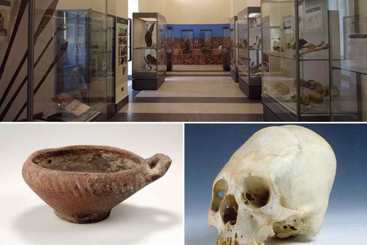 Stanze museo