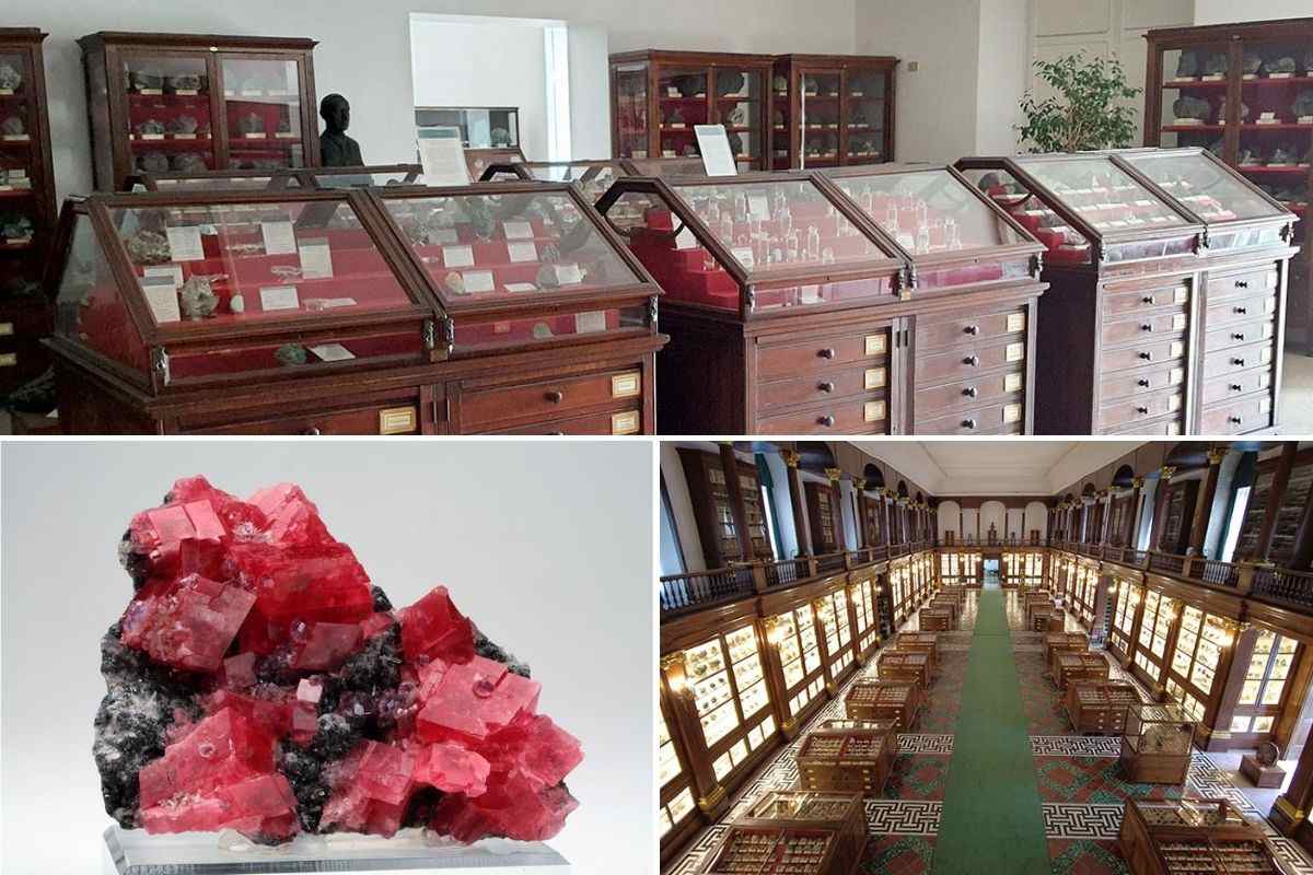 Stanze museo