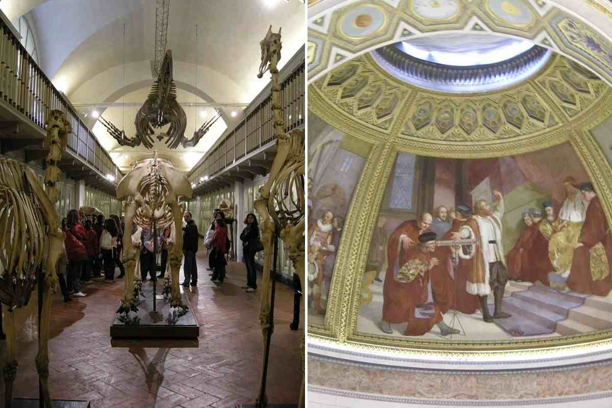 Museo storia naturale